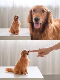 1:1 Customized 3D Pet Wool Felt Full Body (15-30cm)
